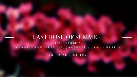 20190827_Last Rose of Summer.jpg
